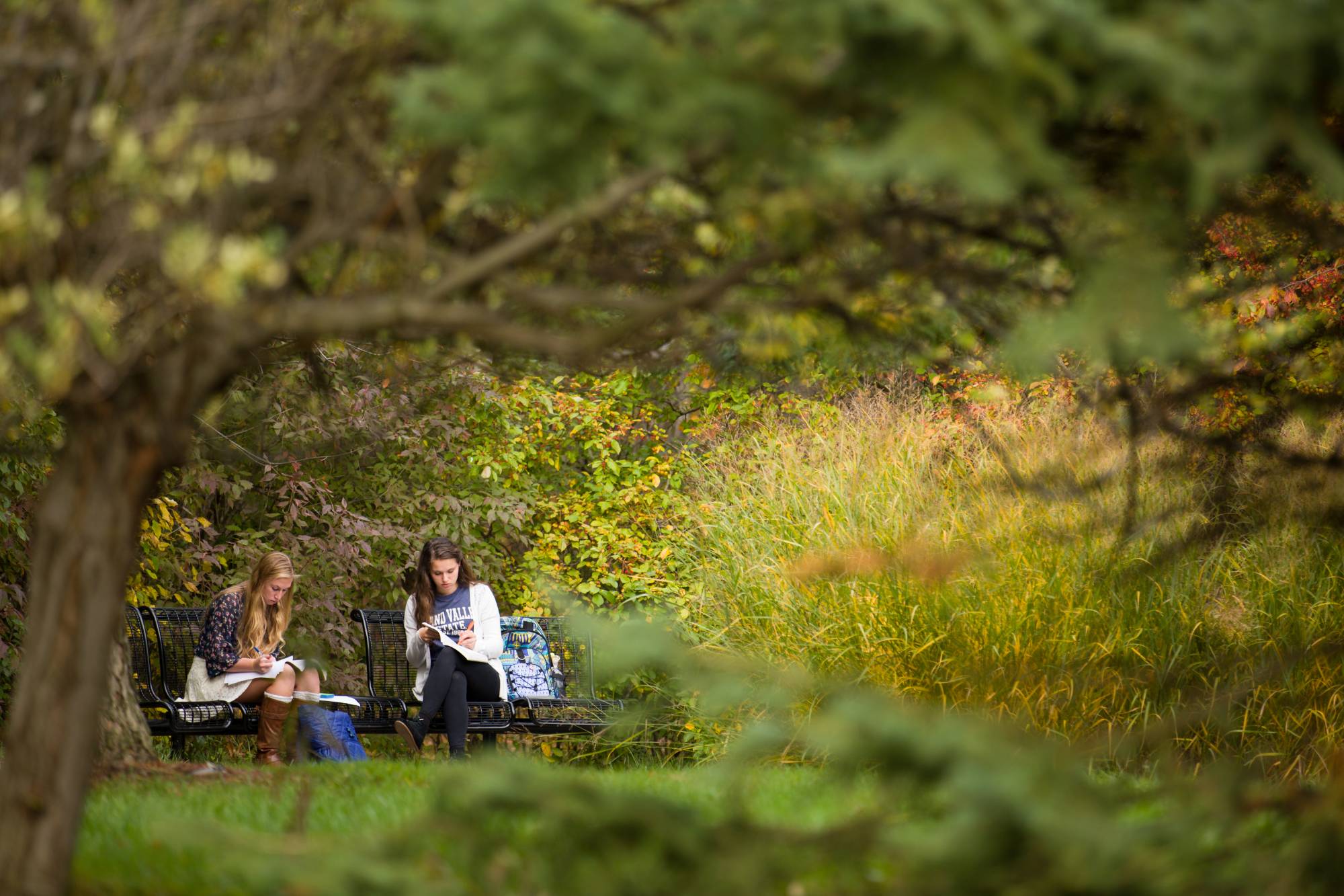 2 students studying on an outdoor bench